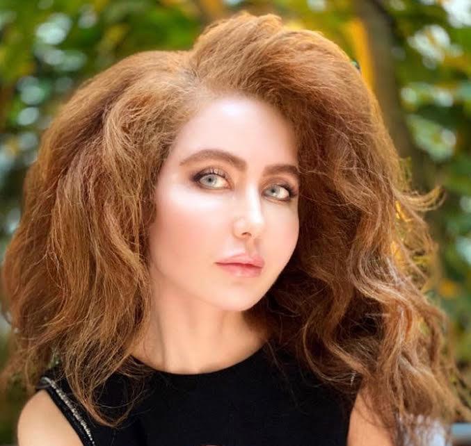 html5 bootstrap template by colorlib.com